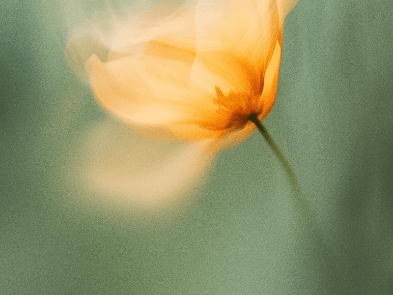 Por Qué N8N Está Listo para Reemplazar a los Gigantes de la Automatización Empresarial