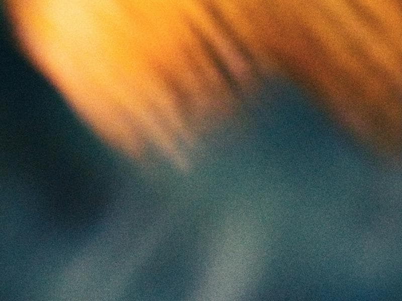 Cómo la IA Agéntica Está Ayudando a las Empresas a Multiplicar sus Ingresos