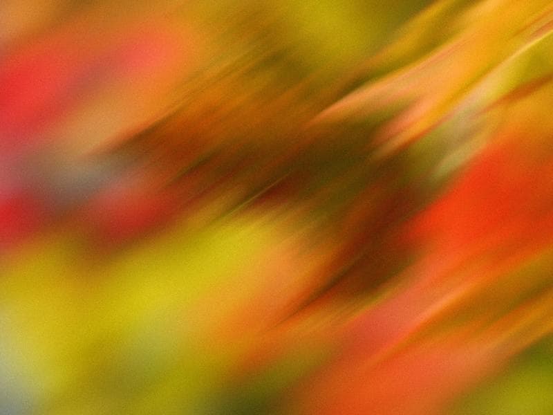 La Promesa Oculta de la IA Generativa: Cómo una Plataforma Puede Transformar el Conocimiento