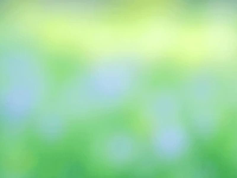 La Revisión de Código con IA Acaba de Cambiar el Desarrollo de Software Para Siempre